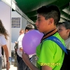 FESTVIVO